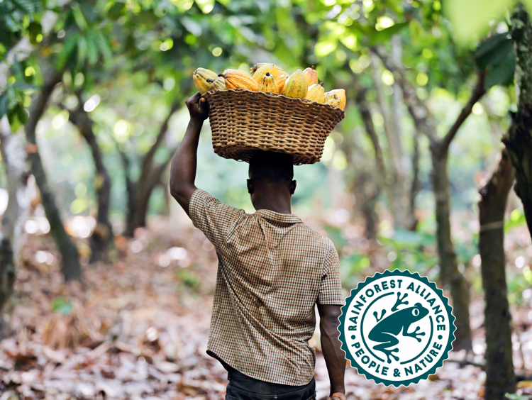 Rainforest Alliance Certificeret